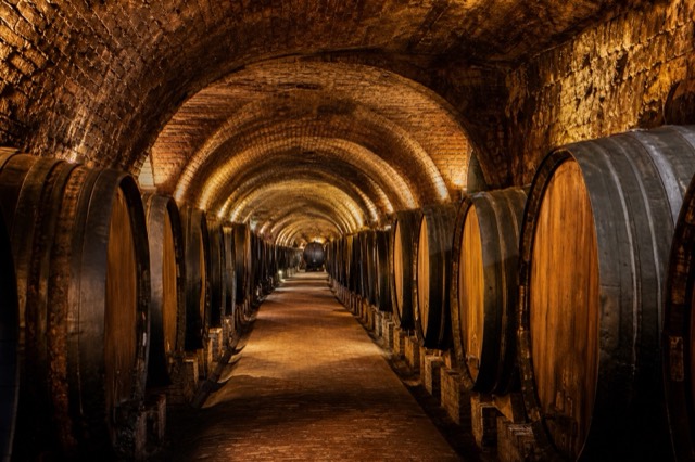 Cousiño Macul Experience, vinhedo e adega de vinícola perto de Santiago