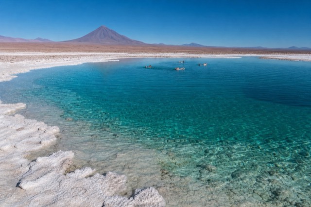 Laguna Cejar, Tebinquiche e Ojos del Salar, paisagem do deserto do Atacama, no Chile