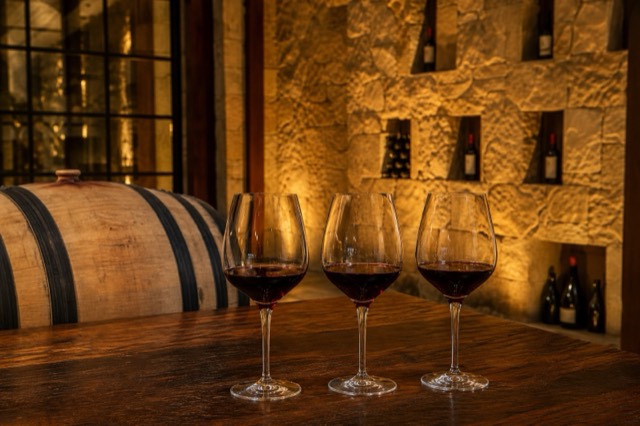 Concha y Toro: Marquês de Casa Concha, vinhedo e adega de vinícola perto de Santiago