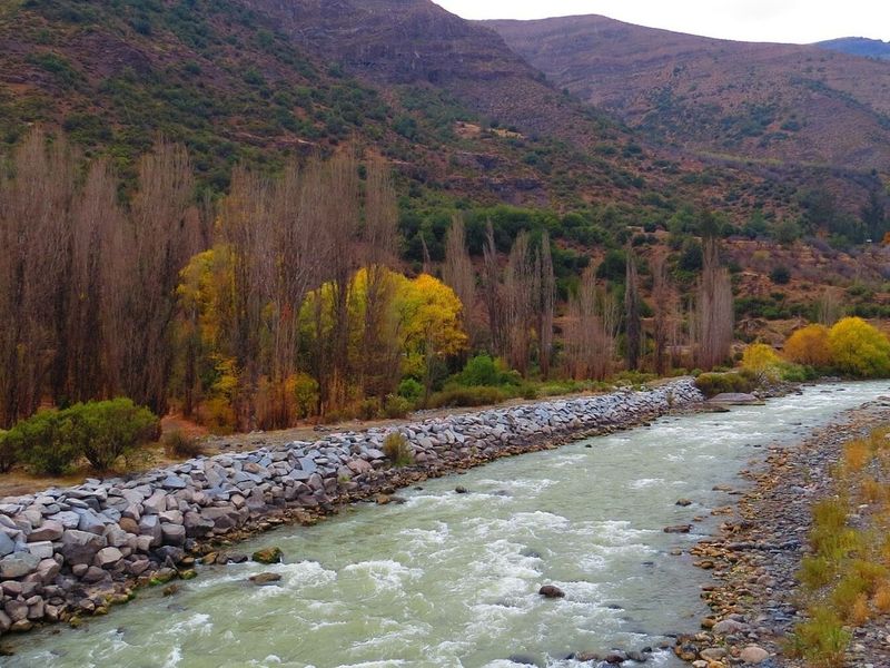O Rio Maipo correndo entre árvores no Cajón del Maipo