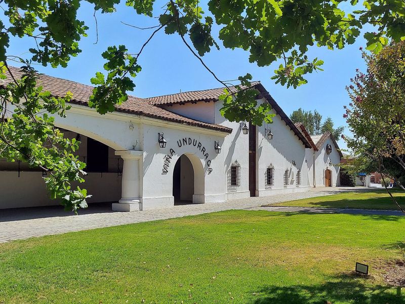 A casa principal da Viña Undurraga, entre árvores e gramado