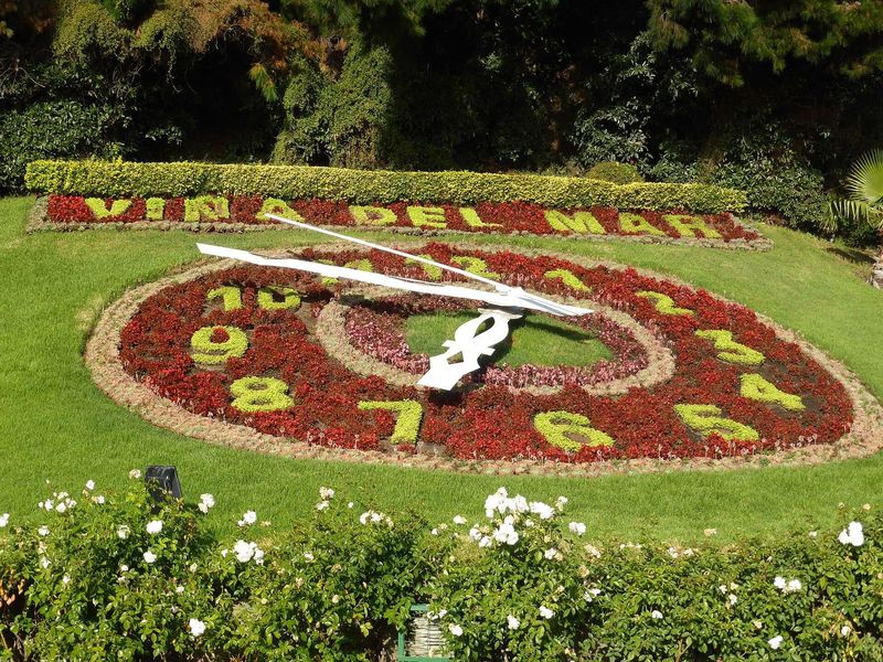O Relógio de Flores de Viña del Mar