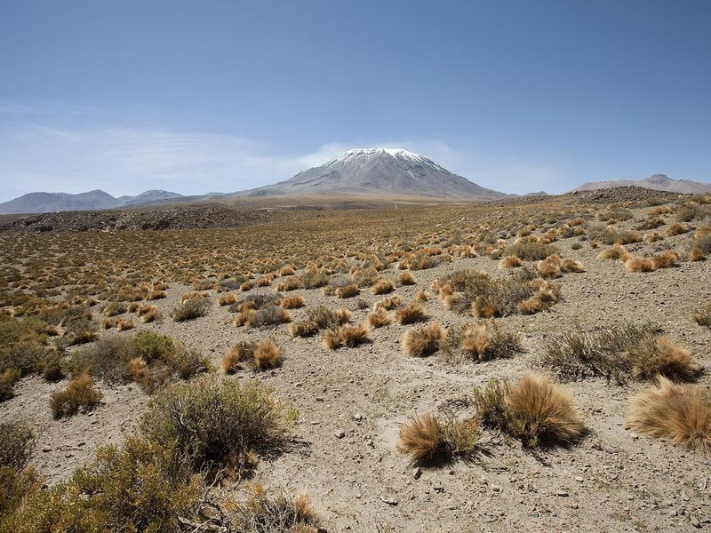 O vulcão Lascar visto do altiplano