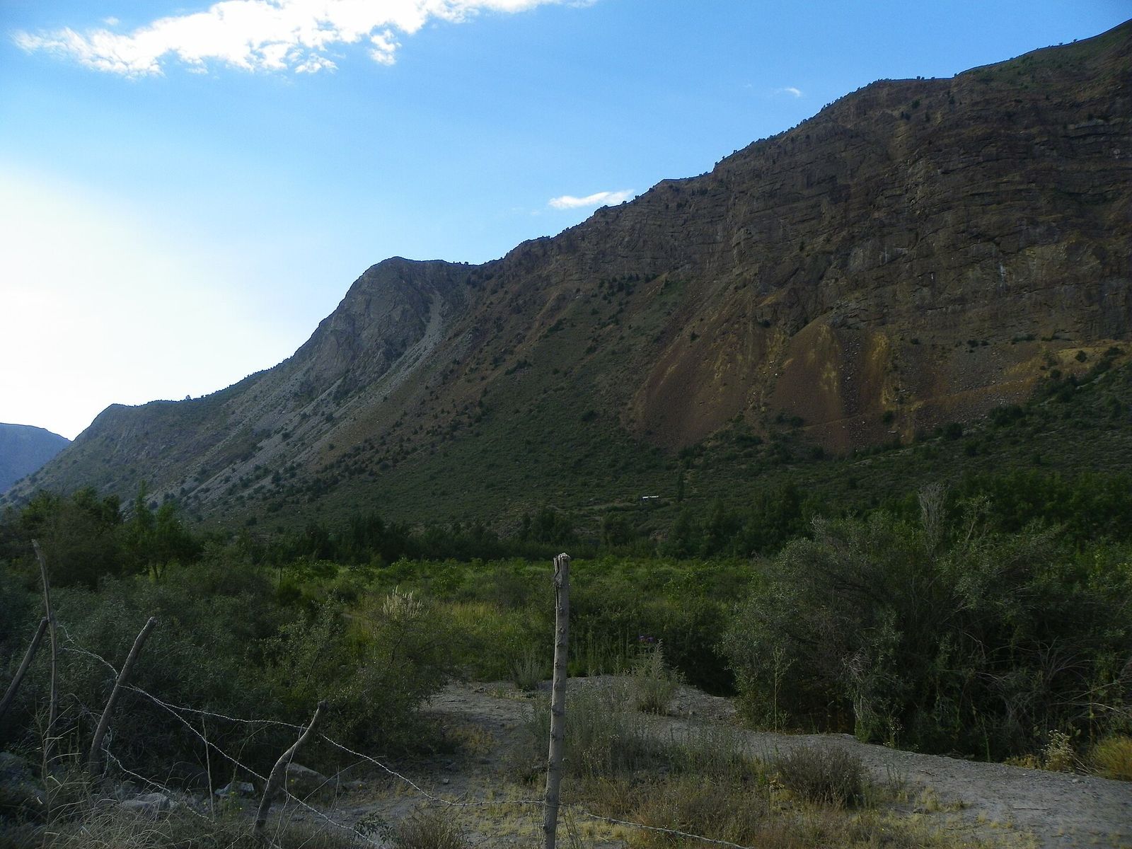 Montanhas e vegetação do Cajón del Maipo