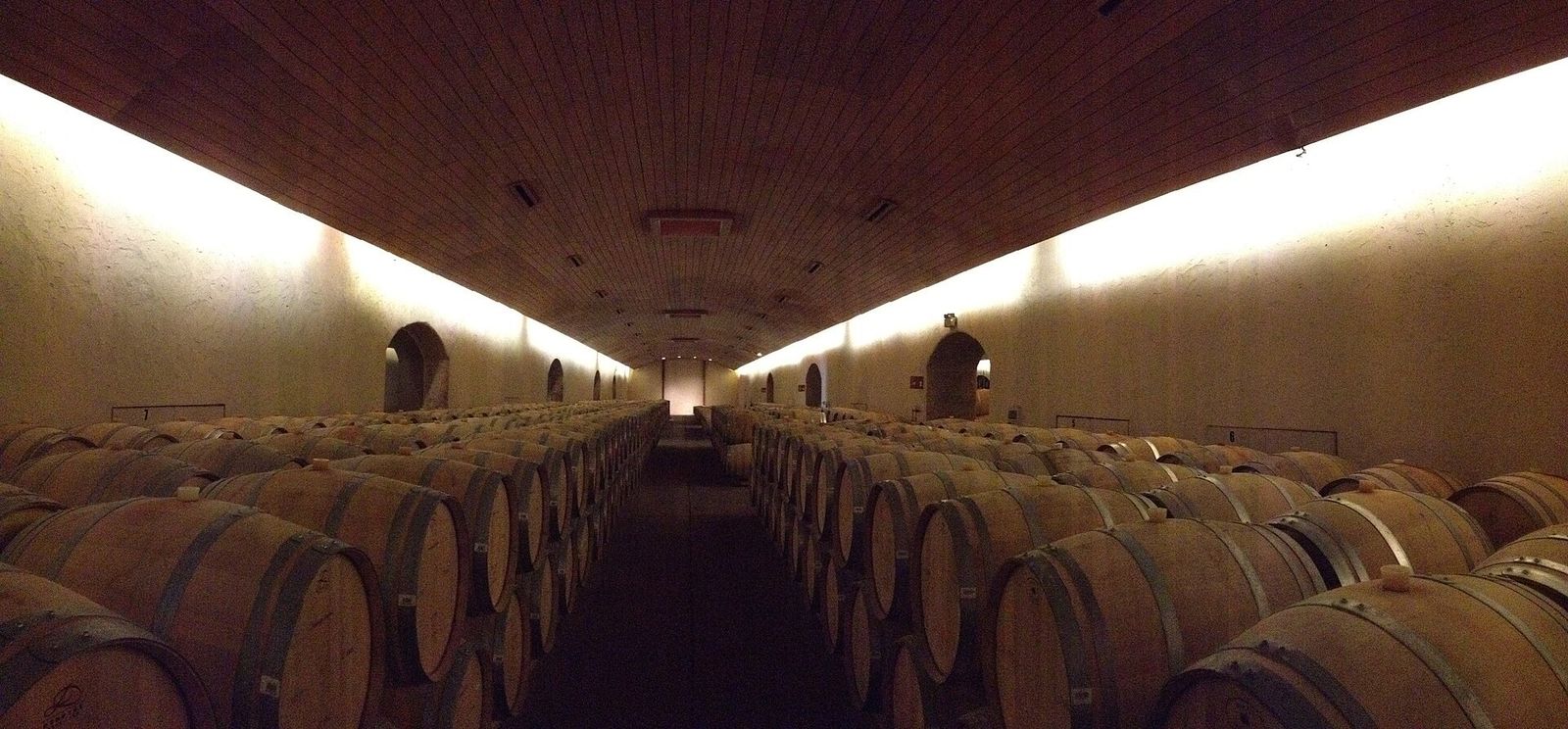Barris na adega da Concha y Toro