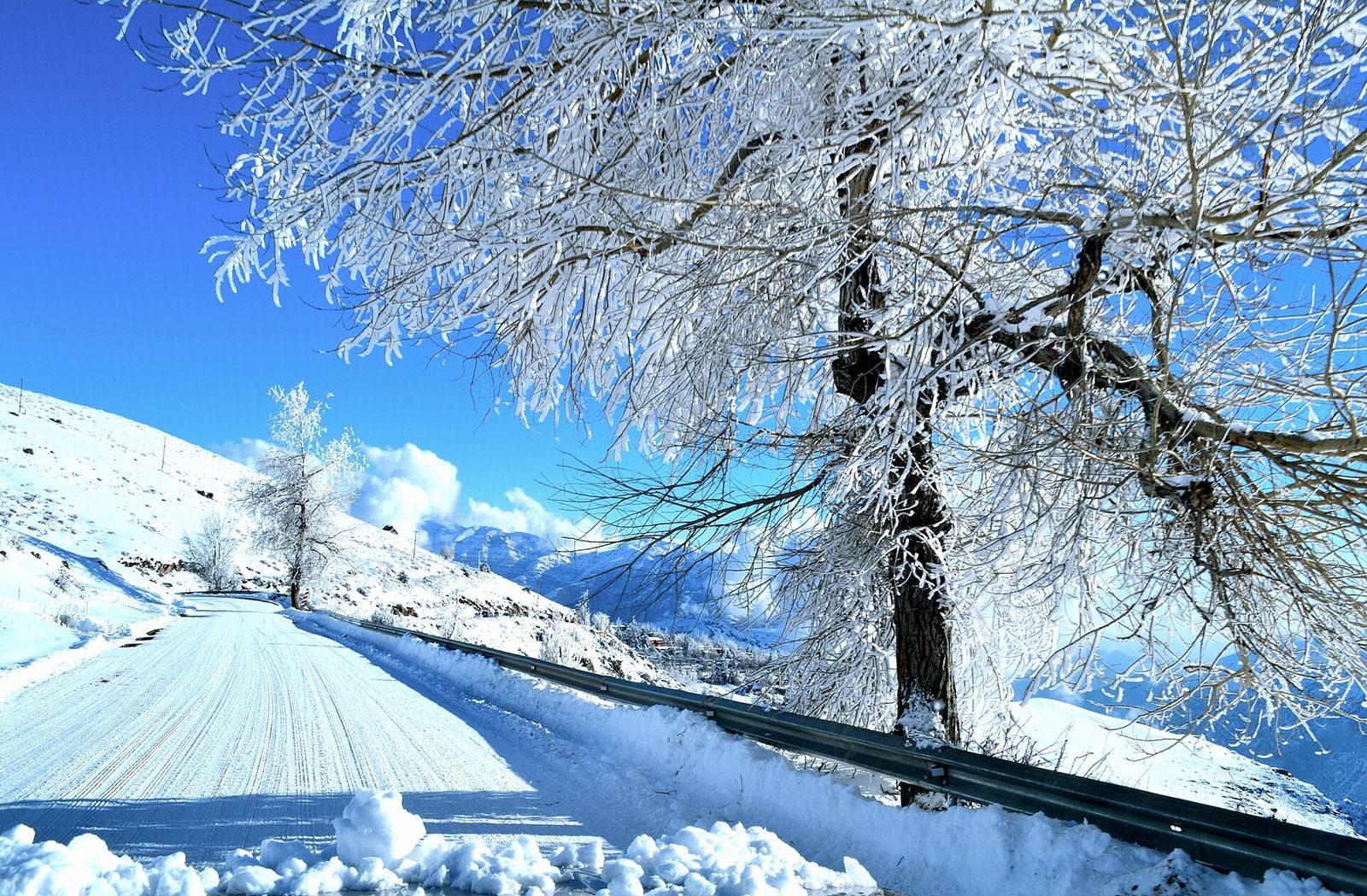 A estrada para Farellones entre árvores cobertas de neve