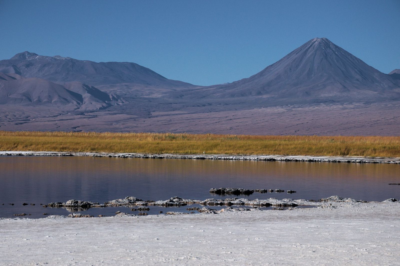 A Laguna Cejar com o vulcão Licancabur ao fundo