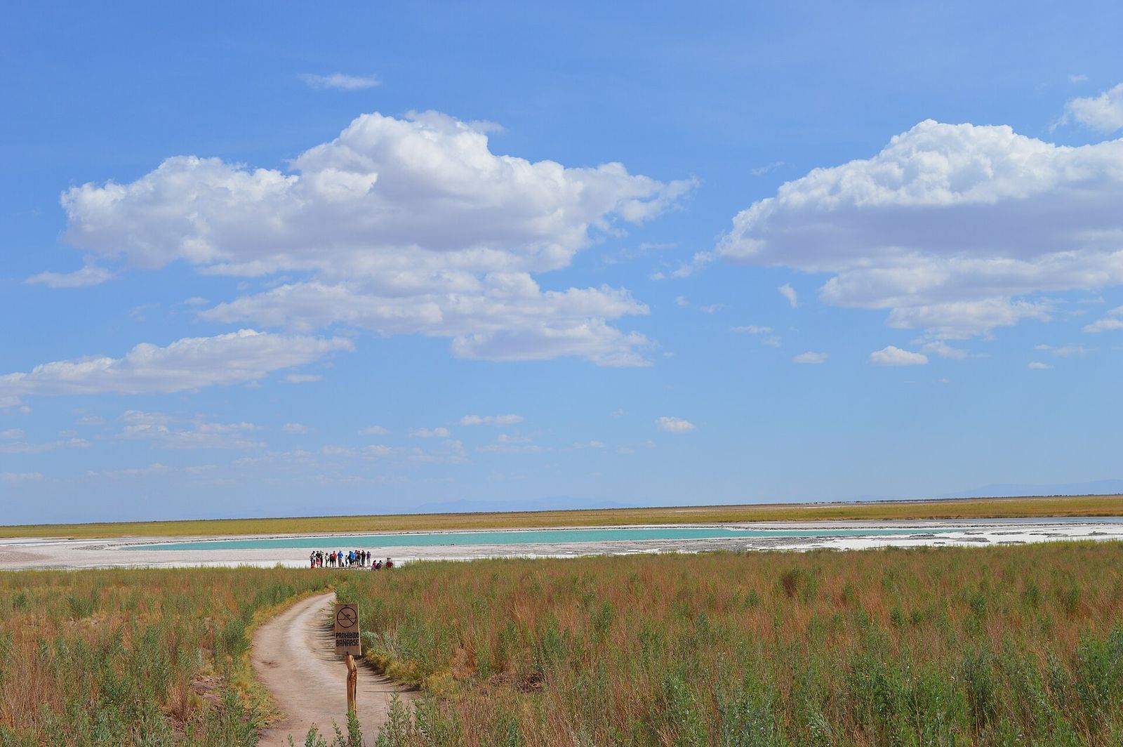 O caminho até a Laguna Cejar no Salar de Atacama