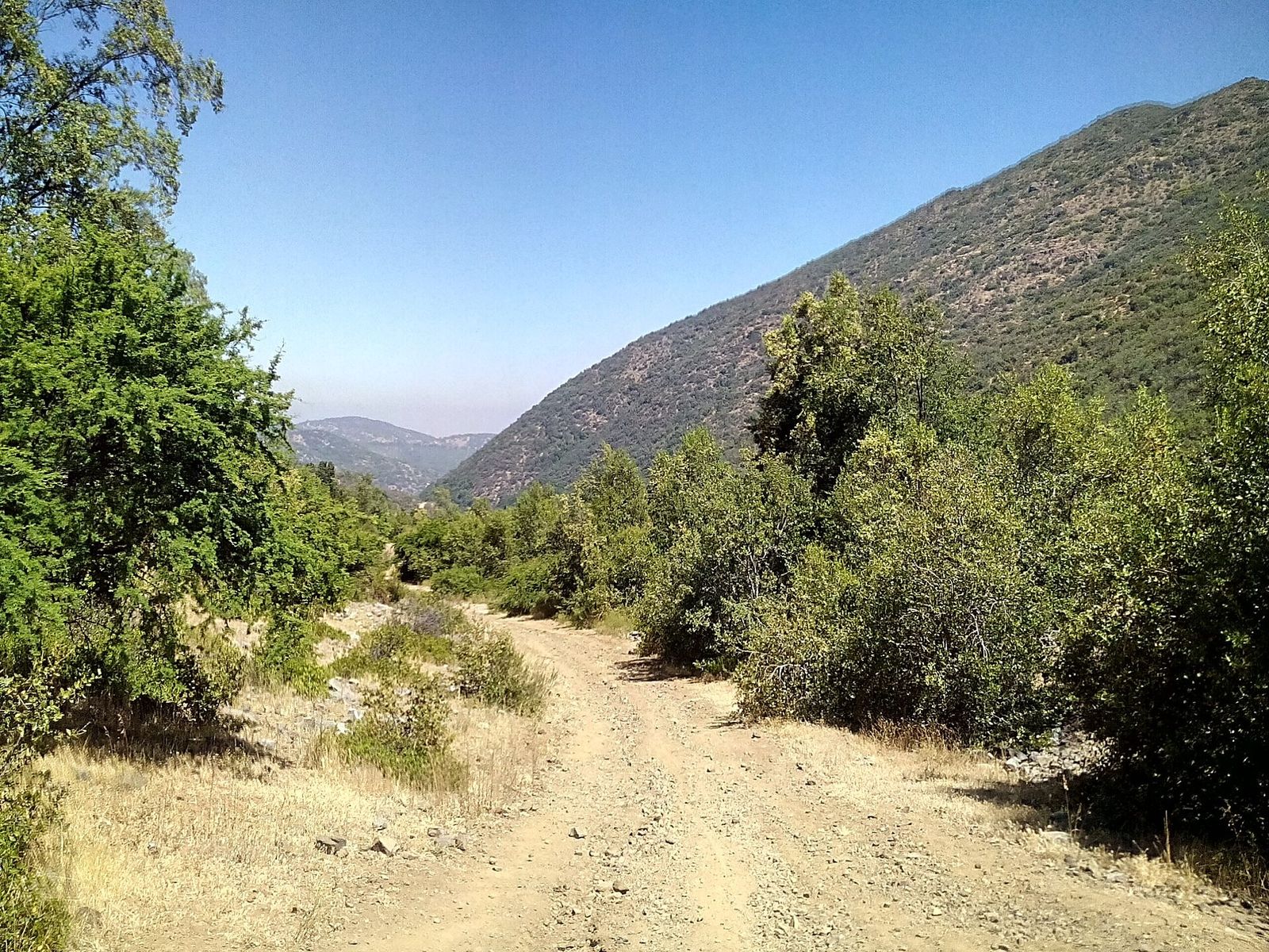 Estrada de terra entre a vegetação e as montanhas de Pirque