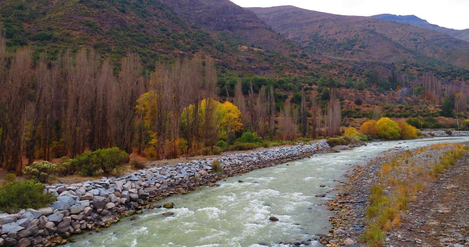 O Rio Maipo correndo entre árvores no Cajón del Maipo