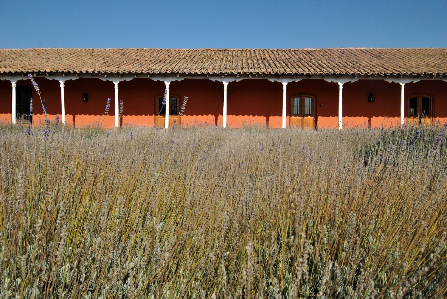 A casona histórica da Viña Santa Rita, em Alto Jahuel