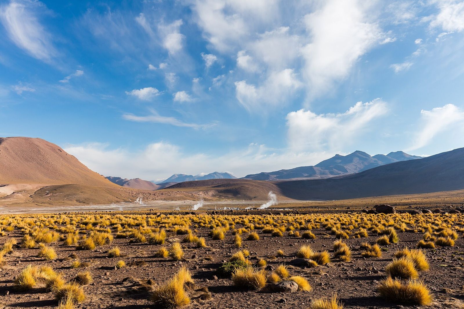 O altiplano em volta do Tatio