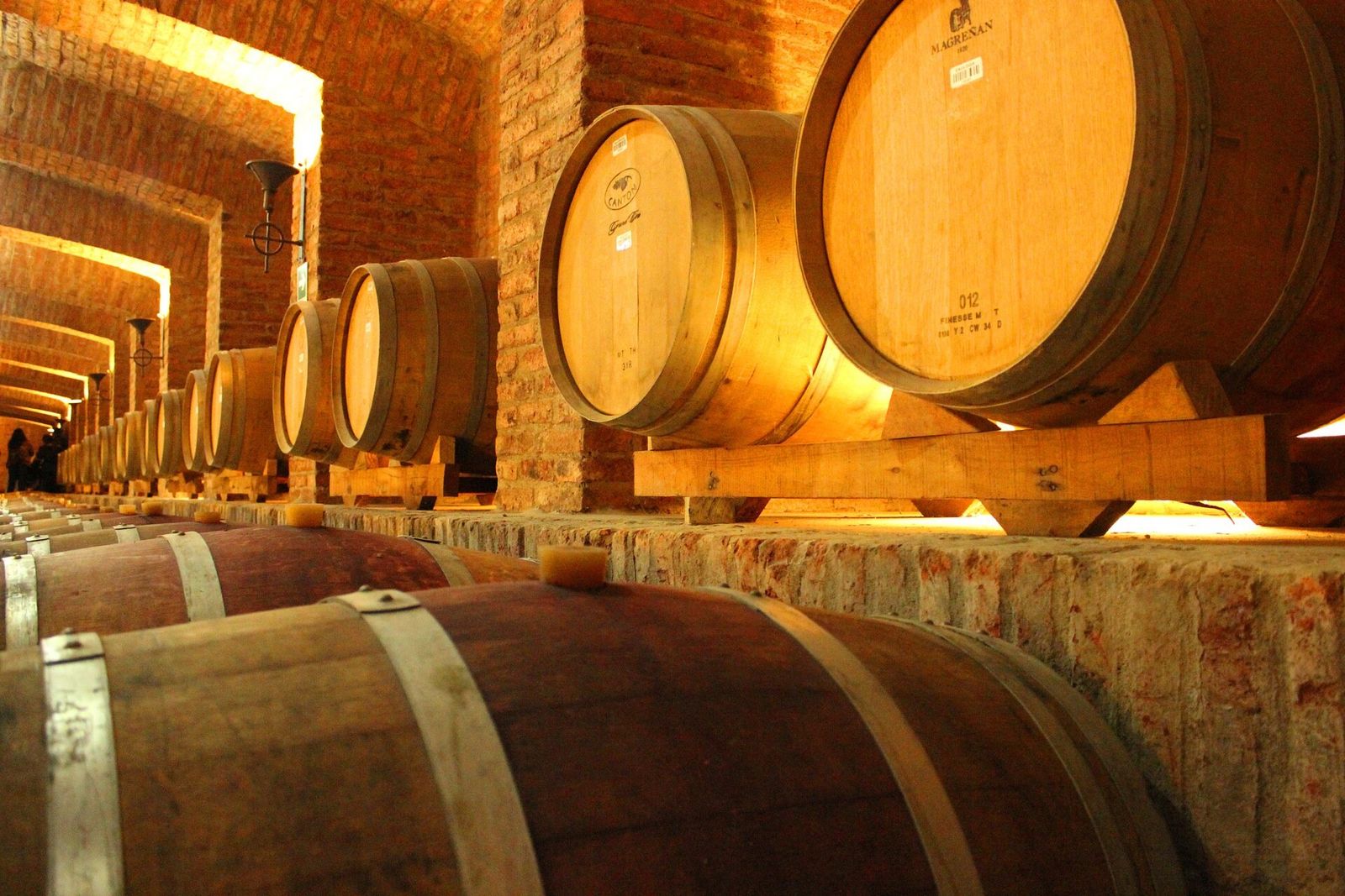 Barris de vinho na adega da Undurraga