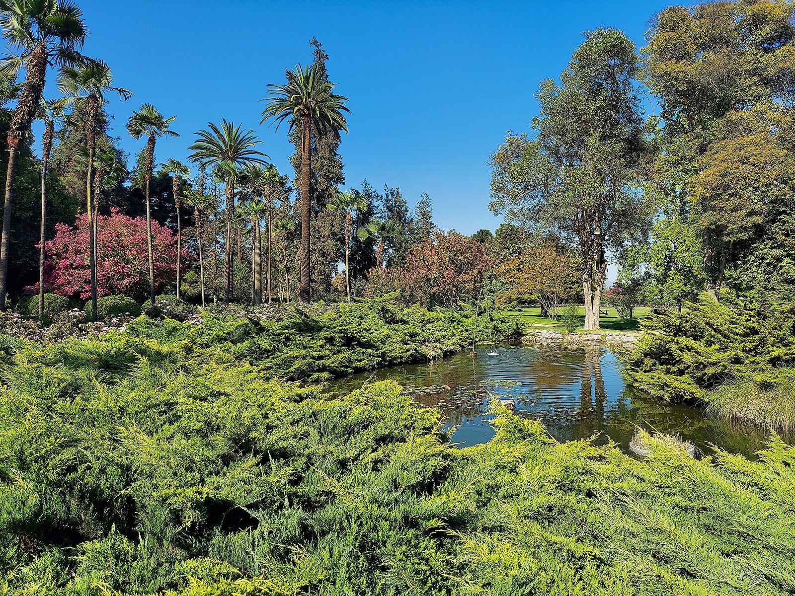 O jardim com lago da Viña Undurraga